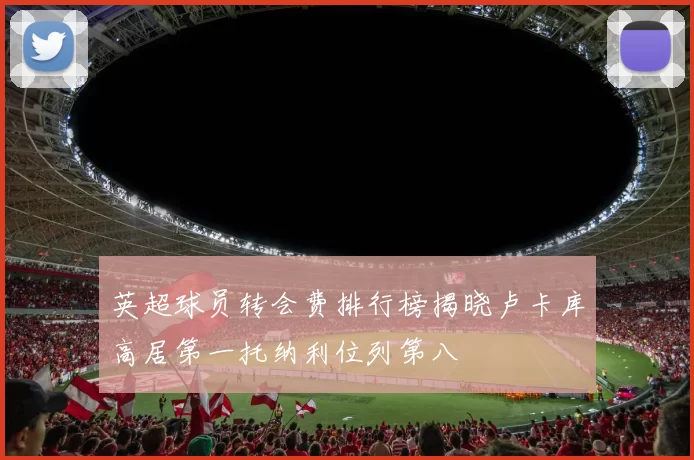 英超球员转会费排行榜揭晓卢卡库高居第一托纳利位列第八